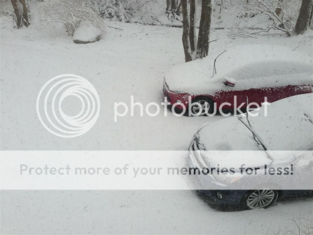 IMG_1460_zpsa7162fb0.jpg