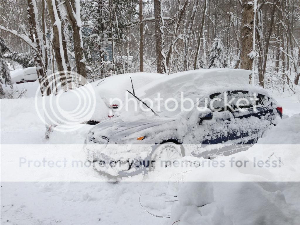 IMG_1467_zps71d98ac1.jpg