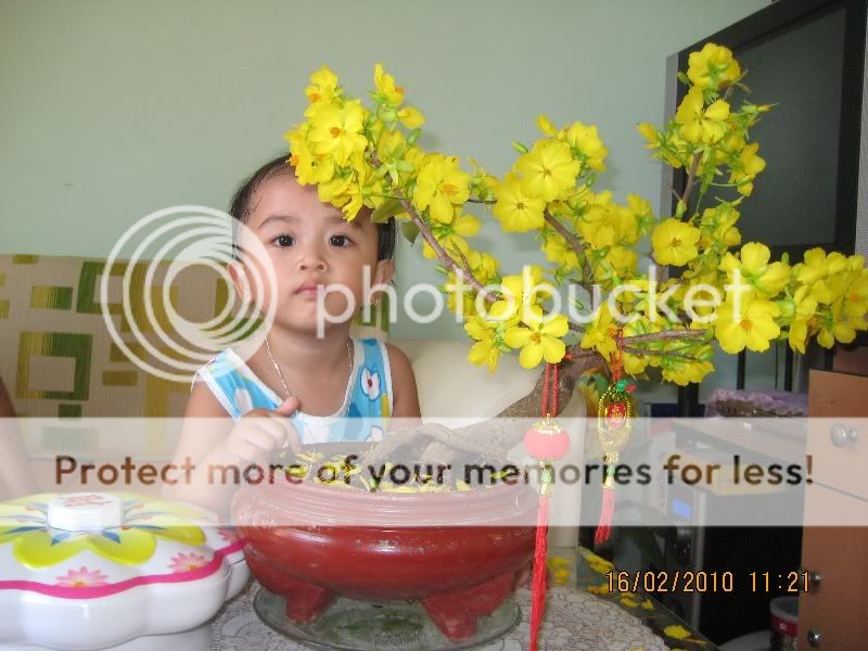 ^^ sắp tết rùi oánh 1 bài bổ ích cho bà con tham khảo ^^