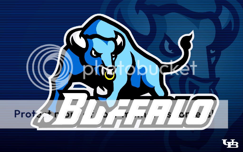 bulls wallpaper. Buffalo Bulls Wallpaper Image