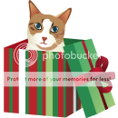 HolidayCat2.png