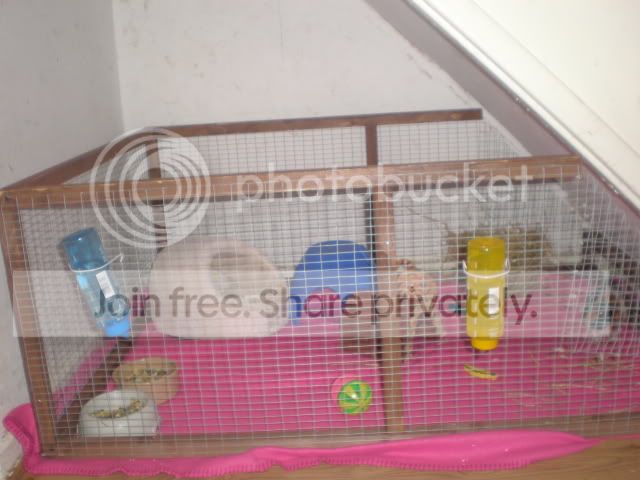 002-26.jpg