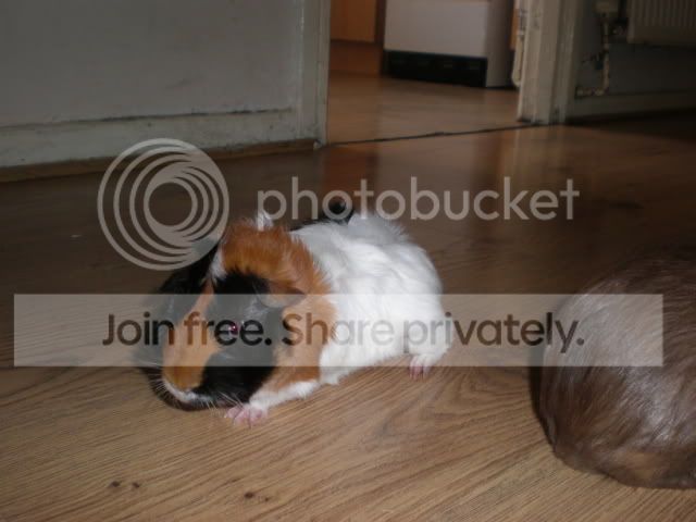006-11.jpg