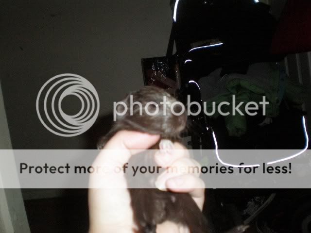 006-21.jpg