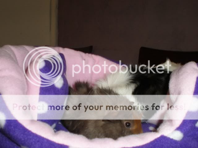 011-14.jpg