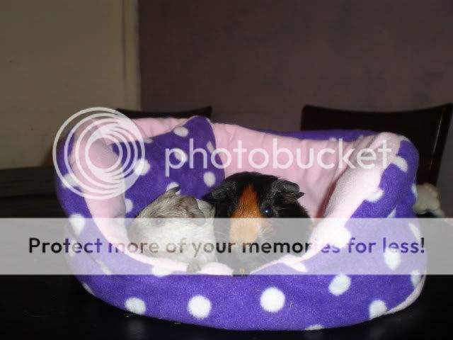 014-10.jpg
