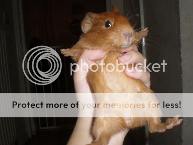 015-8.jpg