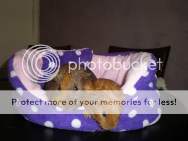 018-7.jpg